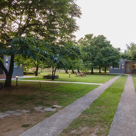 Elena Luxury Living *