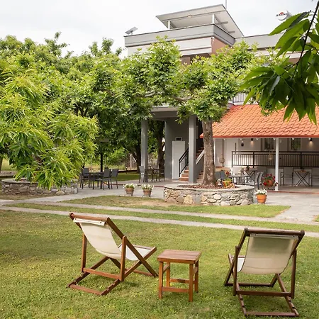 Elena Luxury Living