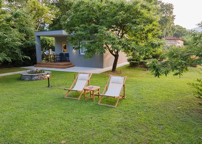 Elena Luxury Living *